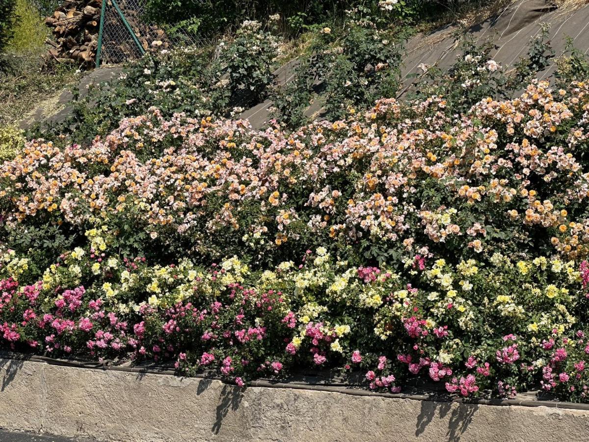 Au Parfum Des Roses Lägenhet Gunstett Exteriör bild