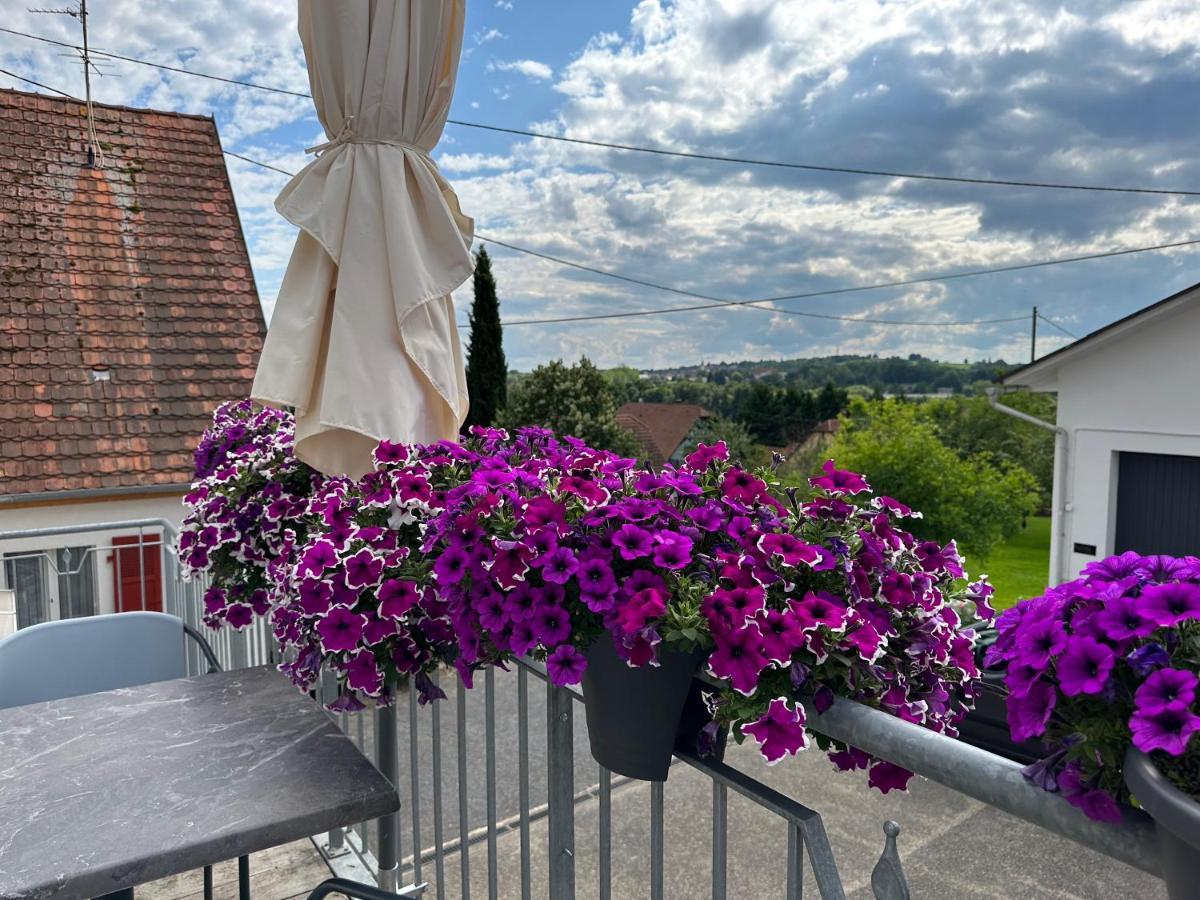 Au Parfum Des Roses Lägenhet Gunstett Exteriör bild